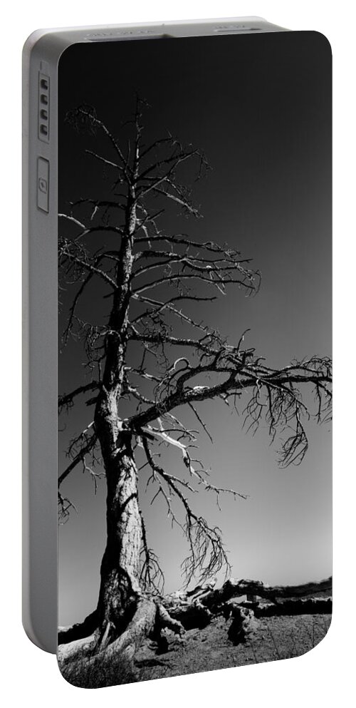 Survival Tree Portable Battery Charger featuring the photograph Survival Tree by Chad Dutson