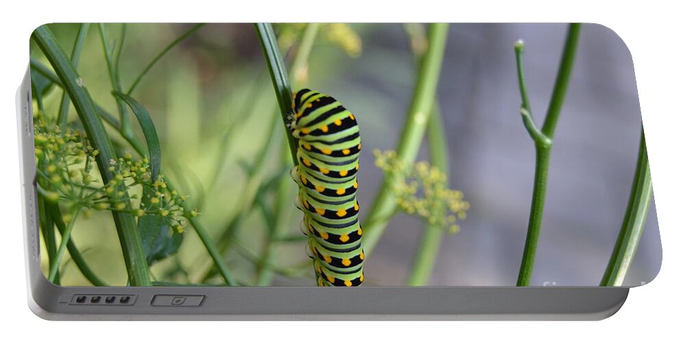 Swallowtail Portable Battery Charger featuring the photograph Swallowtail 1 by Lynellen Nielsen