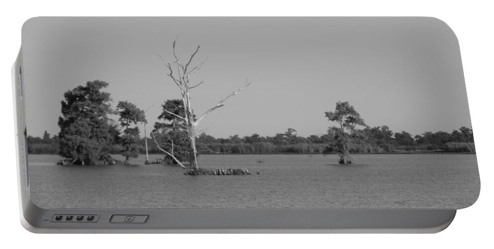 Water Lilly Portable Battery Charger featuring the photograph Swamp Cypress Trees Black and White by Joseph Baril