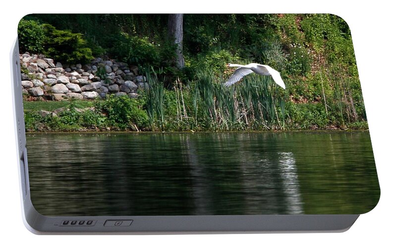 Birds Portable Battery Charger featuring the photograph Swan in Flight by Eleanor Abramson