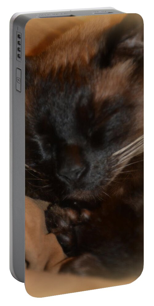 Sweet Dreams Portable Battery Charger featuring the photograph Sweet Dreams by Lisa Wooten