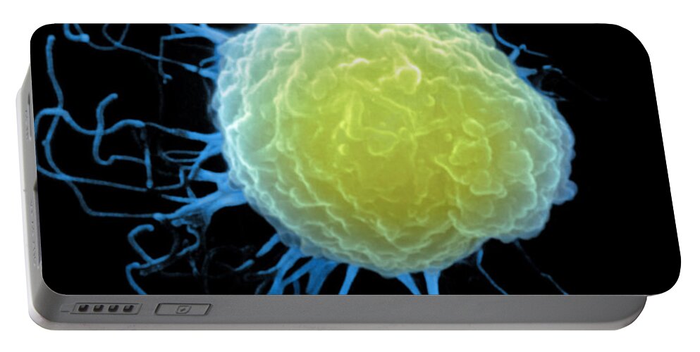Scanning Electron Micrograph Portable Battery Charger featuring the photograph T-cell by Stem Jems