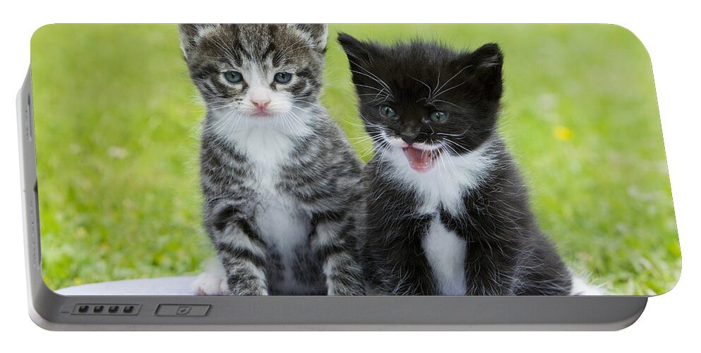 Feb0514 Portable Battery Charger featuring the photograph Tabby And Black Kittens by Duncan Usher