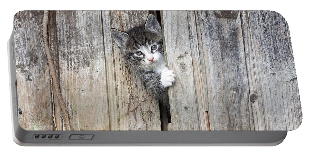 Feb0514 Portable Battery Charger featuring the photograph Tabby Kitten Peering From Shed by Duncan Usher