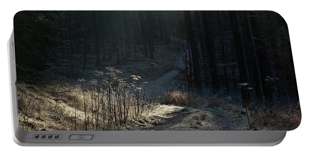 Heiko Portable Battery Charger featuring the photograph Take a morning walk in winter by Heiko Koehrer-Wagner