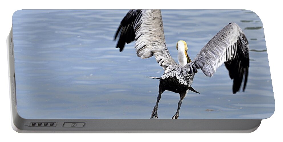 Wildlife Portable Battery Charger featuring the photograph Take Off by AJ Schibig