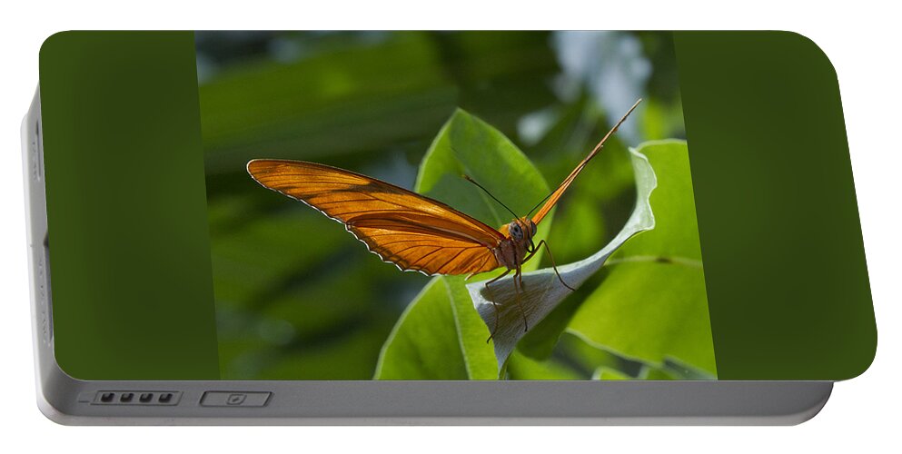 Butterfly Portable Battery Charger featuring the photograph Taking Off by Suanne Forster