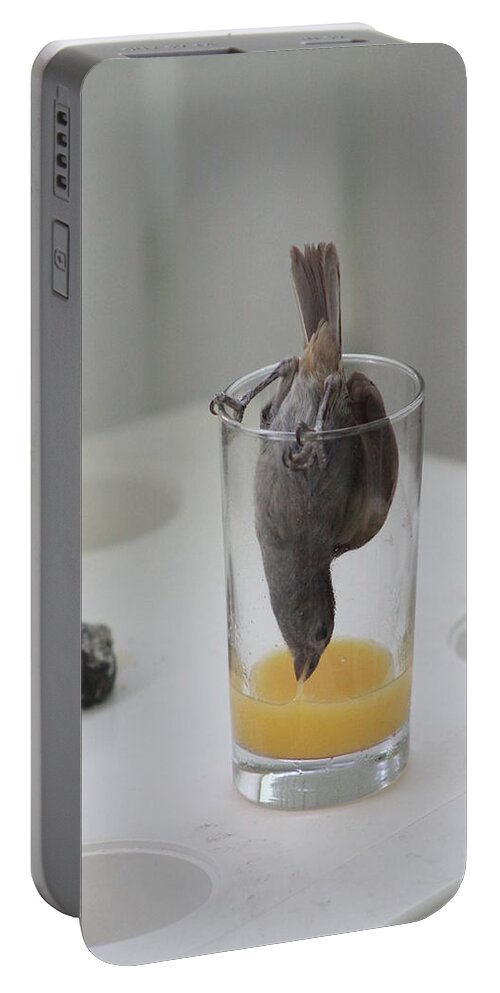 Orange Juice Portable Battery Charger featuring the photograph Tasty Juice by Catie Canetti