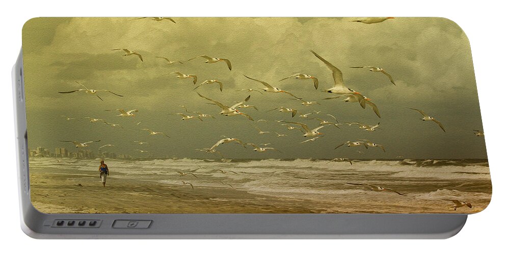 Terns Portable Battery Charger featuring the photograph Terns in the Clouds by Deborah Benoit