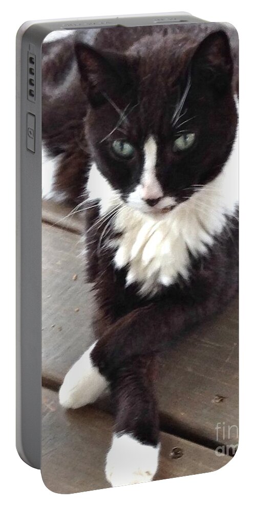 Cat Portable Battery Charger featuring the photograph Tess the Temptress by Alice Terrill