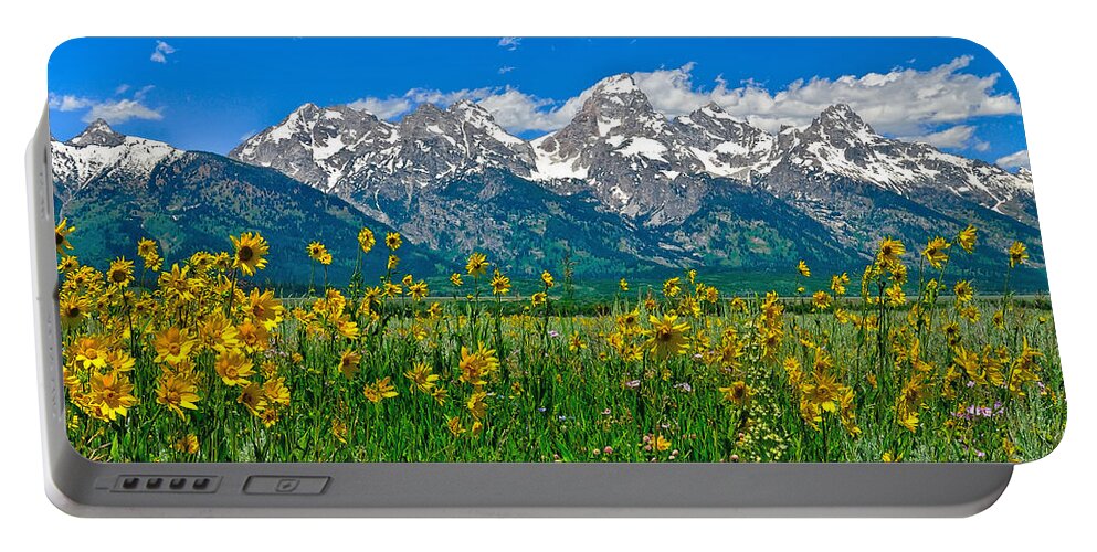 Grand Teton National Park Portable Battery Charger featuring the photograph Teton Peaks and Flowers by Greg Norrell