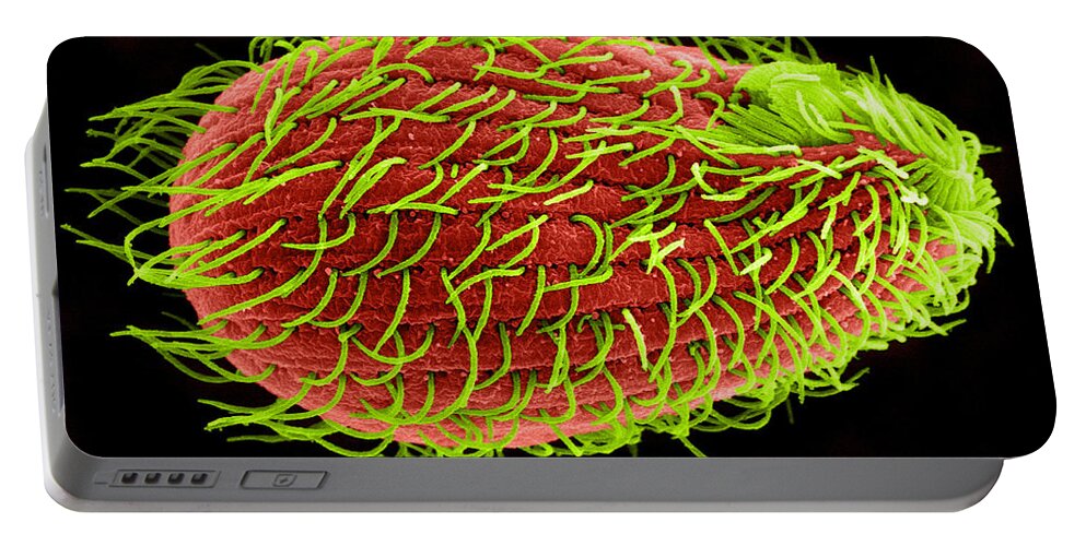 Tetrahymena Portable Battery Charger featuring the photograph Tetrahymena thermophila Sem by Aaron J Bell