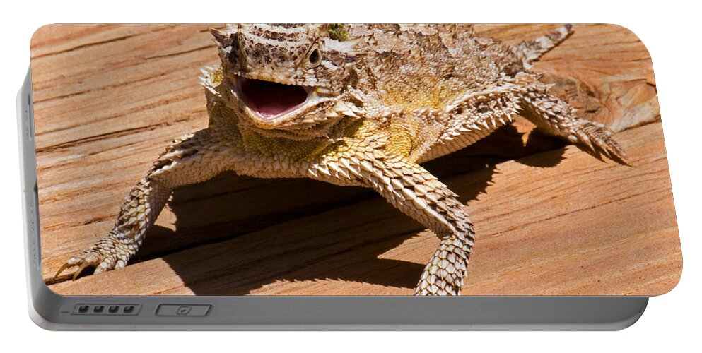 Wildlife Portable Battery Charger featuring the photograph Texas Horned Lizard by Millard H. Sharp