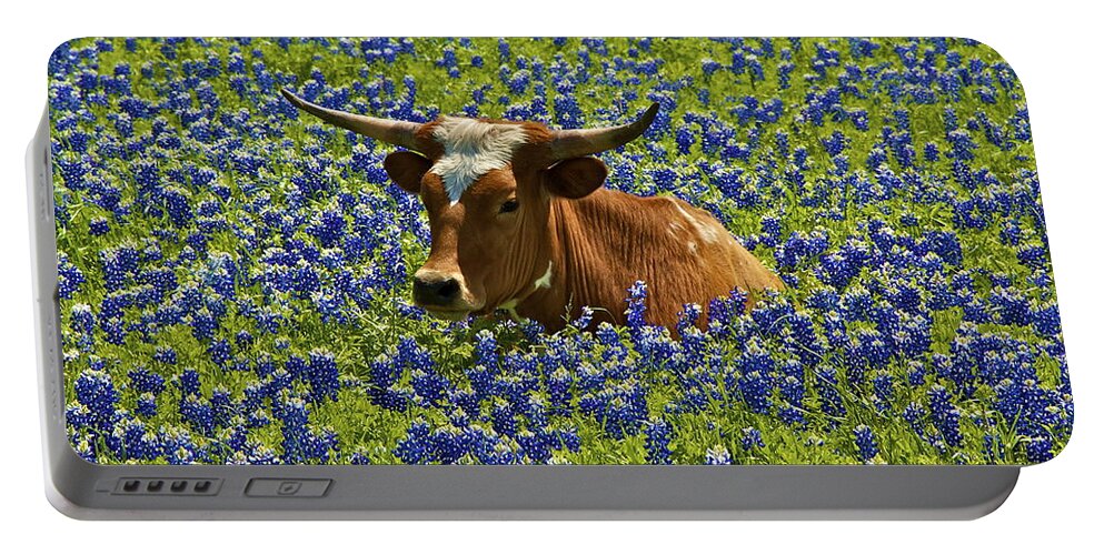 Texas Portable Battery Charger featuring the photograph Texas Longhorn by John Babis