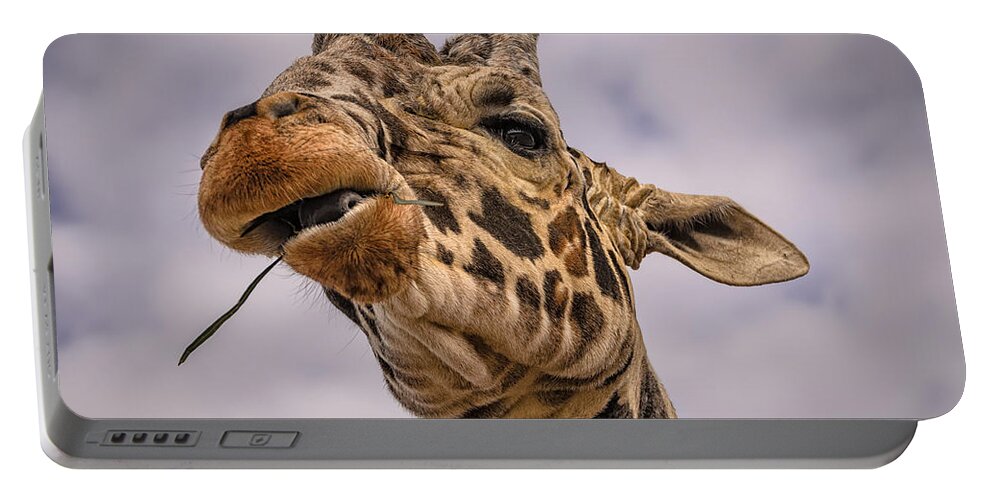 Africa Portable Battery Charger featuring the photograph Thank You by Mark Myhaver