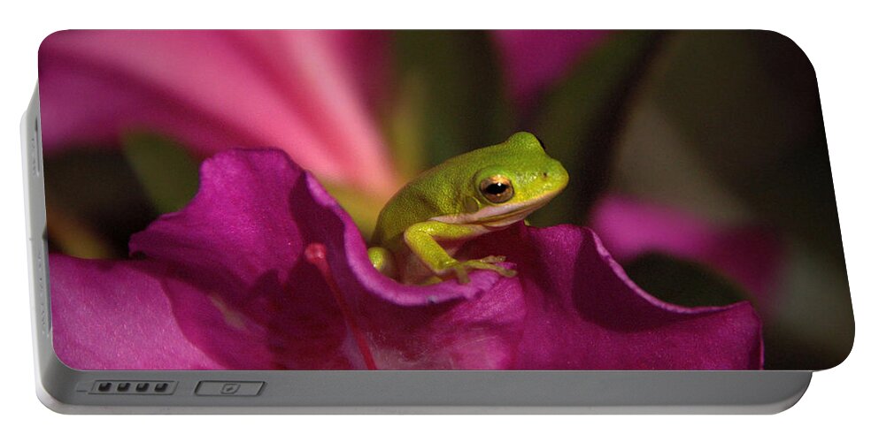 Frog Portable Battery Charger featuring the photograph The Azalea Bed by Charlotte Schafer