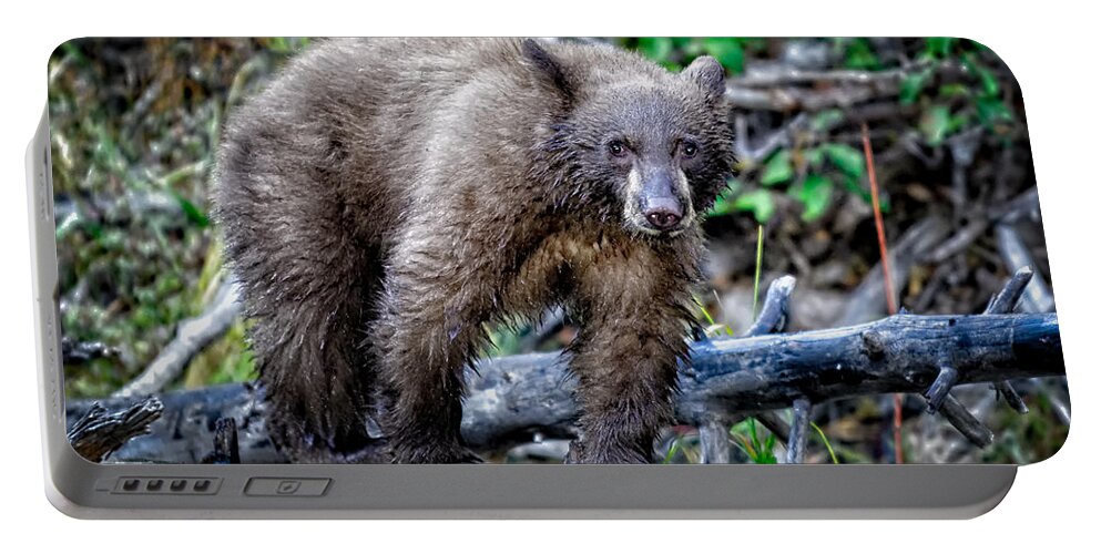 Wildlife Portable Battery Charger featuring the photograph The Balance Beam by Jim Thompson