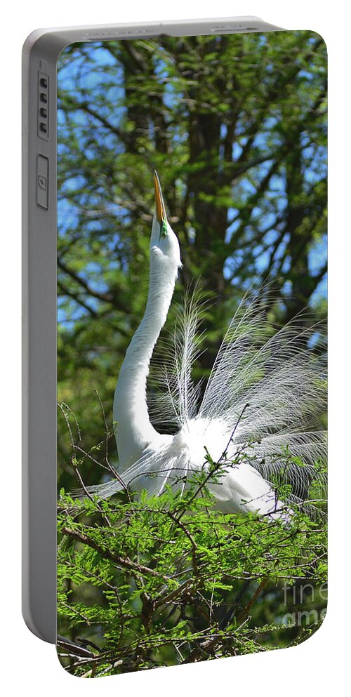 Egret Portable Battery Charger featuring the photograph The Big Stretch by Kathy Baccari