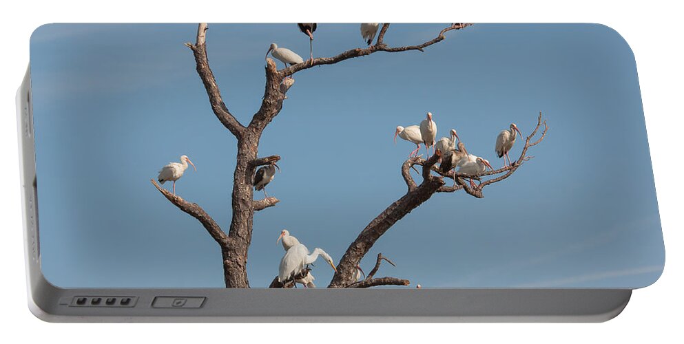 Bird Portable Battery Charger featuring the photograph The Bird Tree by John M Bailey