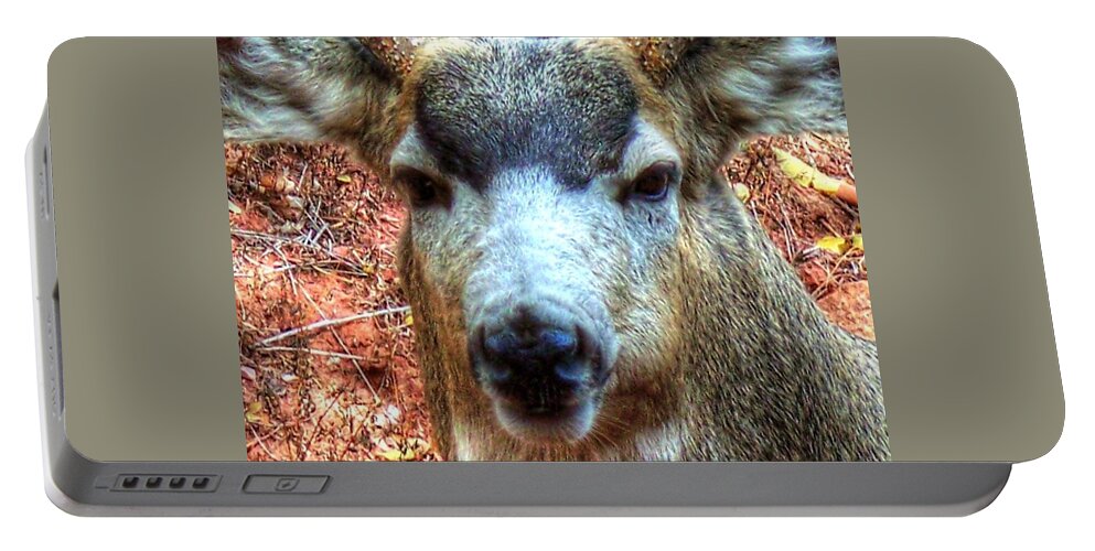 Deer Portable Battery Charger featuring the photograph The Buck II by Lanita Williams