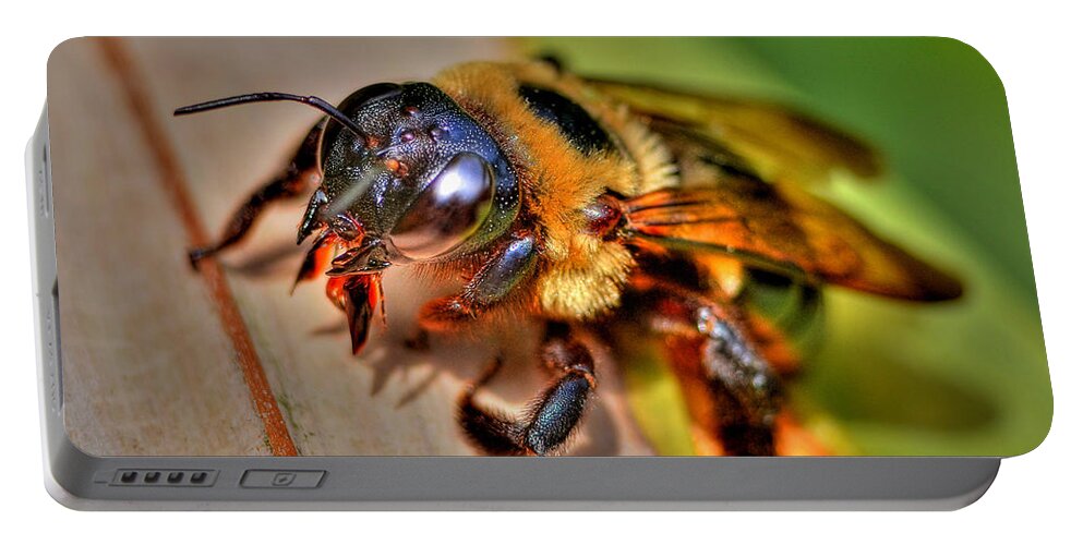 Bee Portable Battery Charger featuring the photograph The Carpenter Bee by Kathy Baccari
