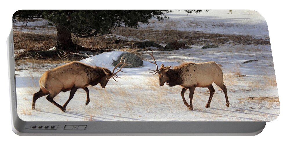 Elk Portable Battery Charger featuring the photograph The Charge by Shane Bechler