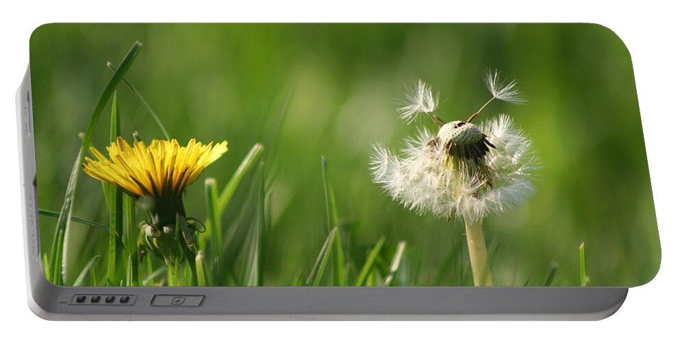 Dandelion Portable Battery Charger featuring the photograph A Weed or A Wish Dandelion by Valerie Collins