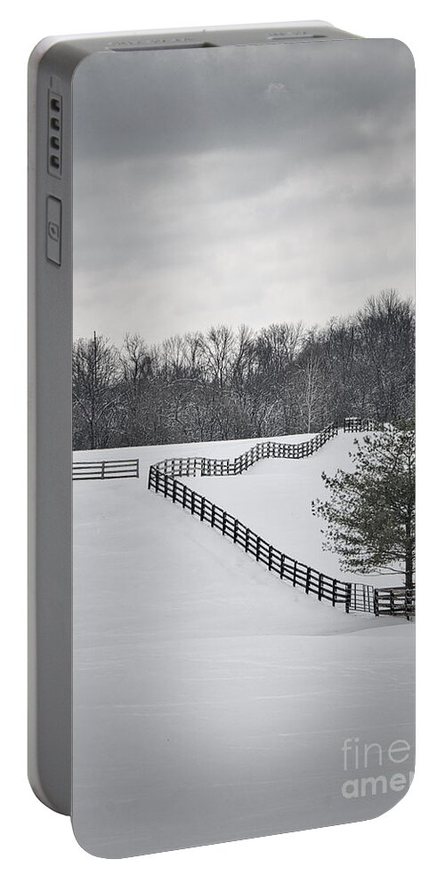 Beautiful Portable Battery Charger featuring the photograph The Color Of Winter - BW by Mary Carol Story