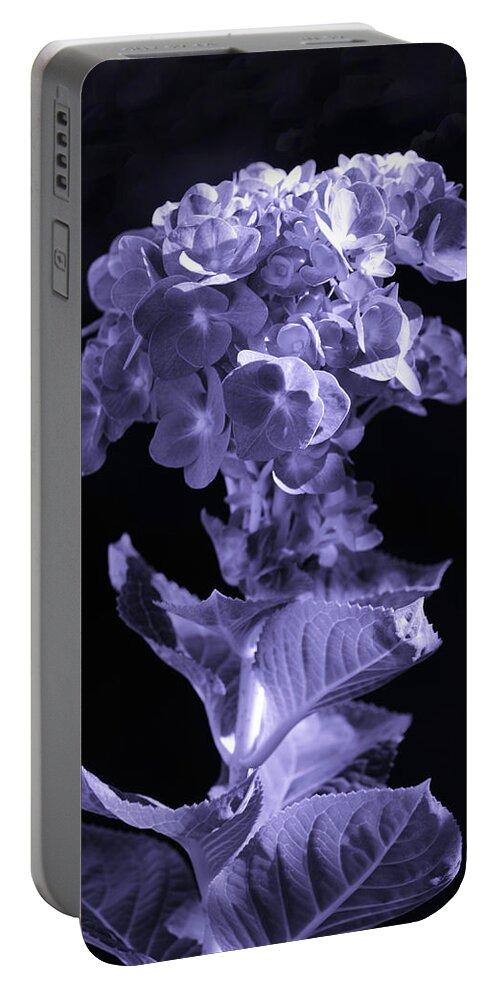 Hydrangea Portable Battery Charger featuring the photograph The Color Purple by Sandi OReilly