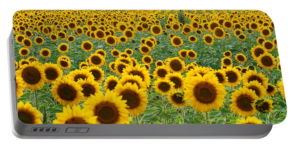 Flowers Portable Battery Charger featuring the photograph The Colorado Gold Fields by Jim Garrison