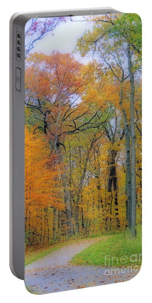 Autumn Portable Battery Charger featuring the photograph The Colors Of Autumn by Kay Novy