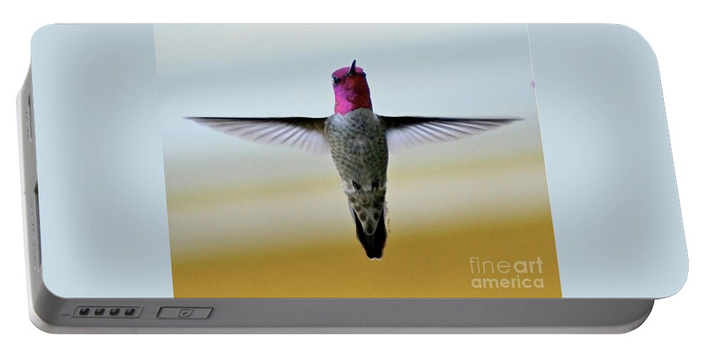 Hummingbird Portable Battery Charger featuring the photograph The Crucifixion by Debby Pueschel