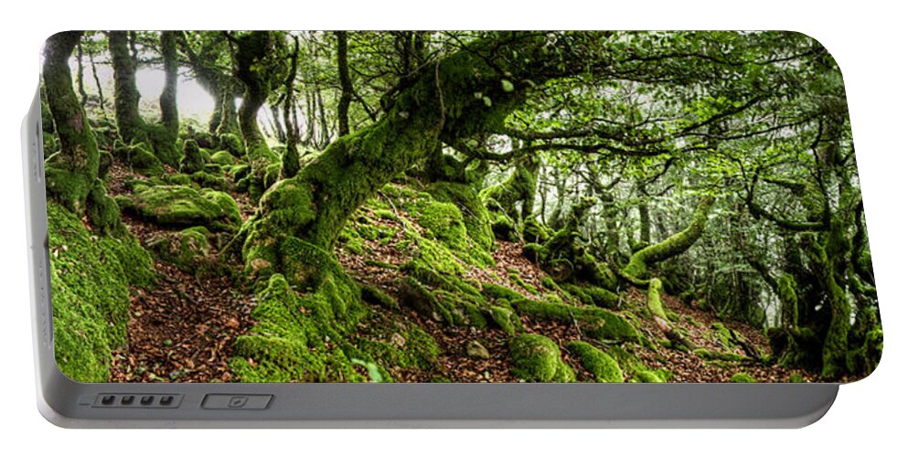 Forest Portable Battery Charger featuring the photograph The Elven forest No2 Wide by Weston Westmoreland