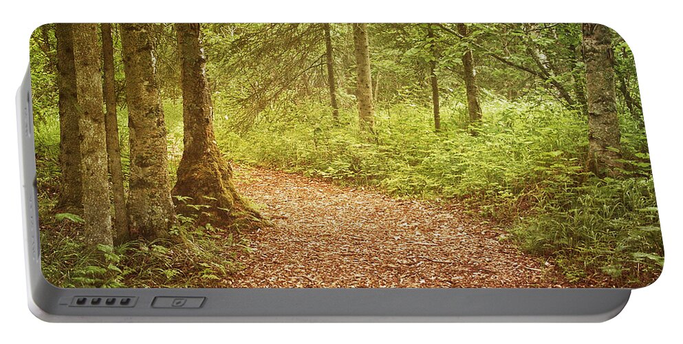 Alaska Portable Battery Charger featuring the photograph The Enchanted Forest by Kim Hojnacki