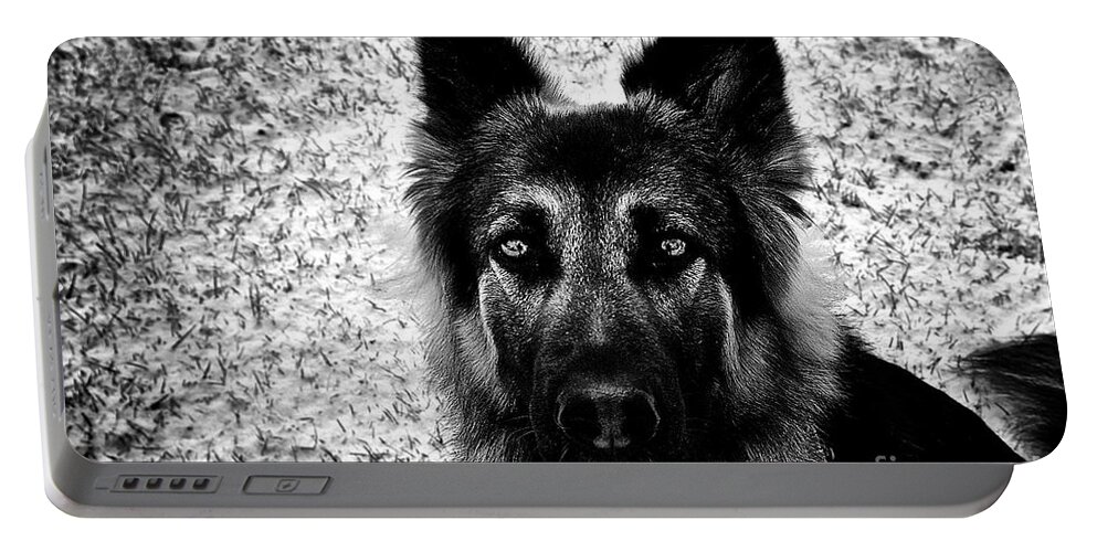 King Shepherd Dog Winter Snow Portrait Blackandwhite Eyes Art Photography Frankjcasella Prints Greetingcards Phonecases Gsd Ksd Pets Horizontal Portable Battery Charger featuring the photograph The Eyes by Frank J Casella