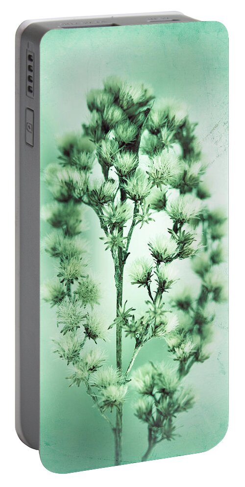Plant Portable Battery Charger featuring the photograph The Feeling Only Grows Stronger by Shane Holsclaw