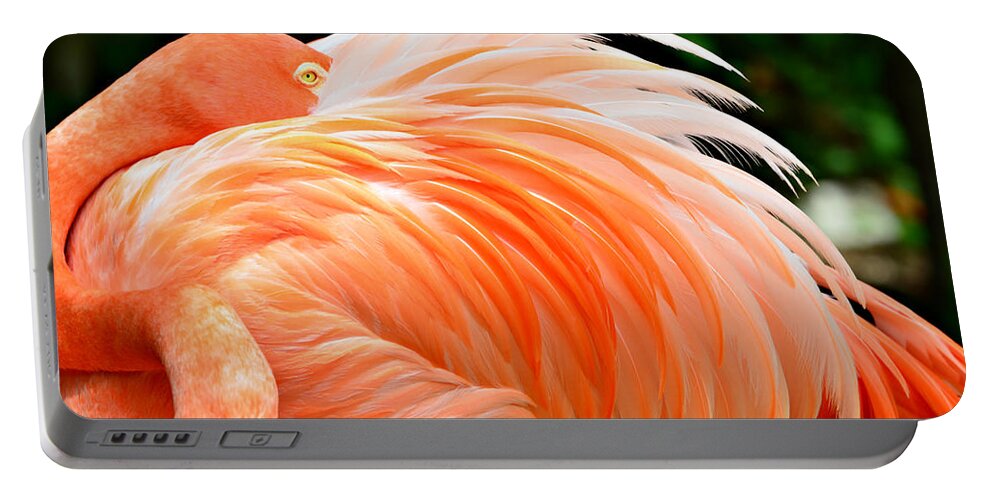 Flamingo Portable Battery Charger featuring the photograph The Flamingo by Ally White