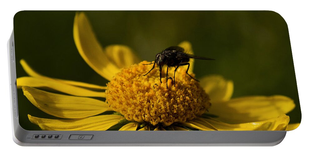 Fly Portable Battery Charger featuring the photograph The Fly by Patrick Moore