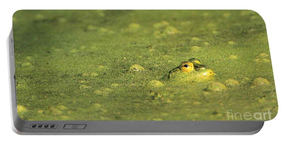 Amphibian Portable Battery Charger featuring the photograph The Frog in Green Algae by John Harmon