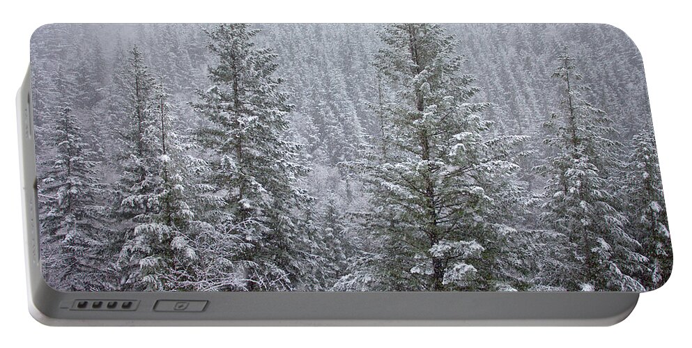  River Portable Battery Charger featuring the photograph The Frozen Forest by Darren White