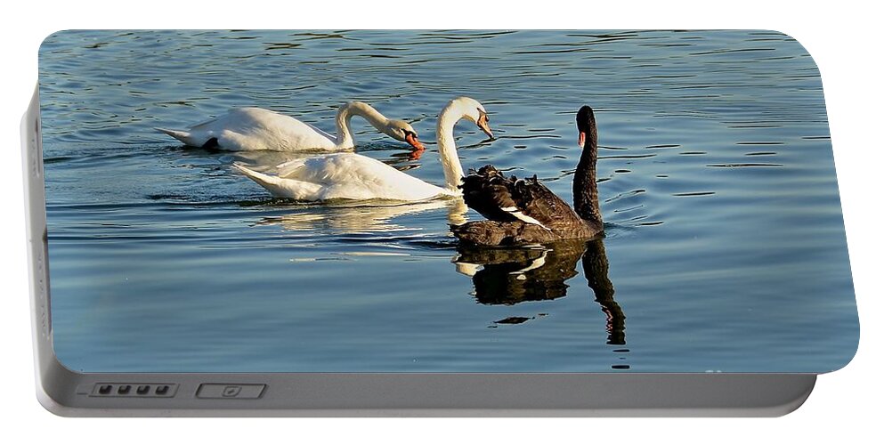 Swan Portable Battery Charger featuring the photograph The Gathering by Carol Bradley
