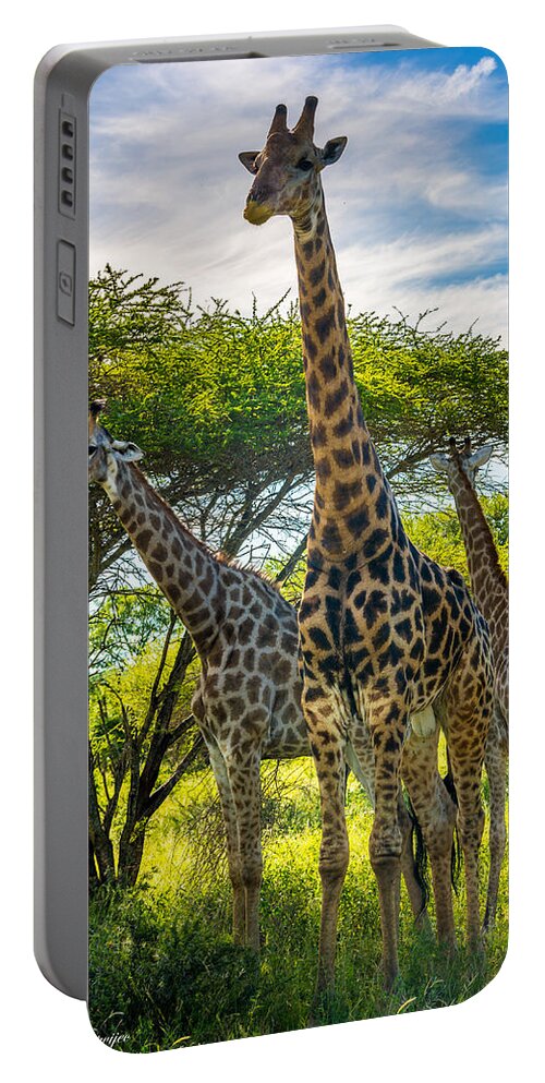Giraffe Portable Battery Charger featuring the photograph The Giraffe Family by Andrew Matwijec