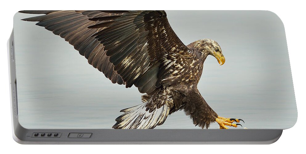 Eagle Portable Battery Charger featuring the photograph The Grab -- A Young Eagle Hunting by William Jobes