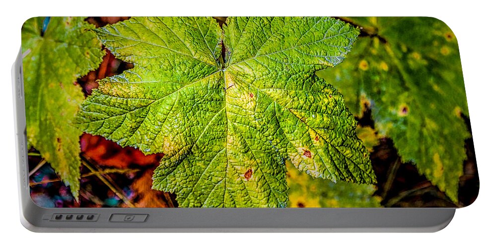 Green Leaves Of Summer Portable Battery Charger featuring the photograph The Green Leaves of Summer by Jon Burch Photography