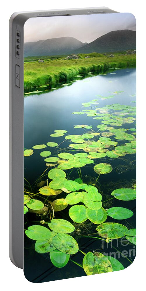Ahalia Portable Battery Charger featuring the photograph The Green of Our Land by Edmund Nagele FRPS