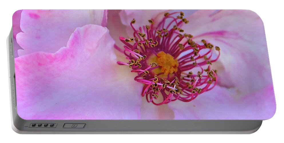 Macro Portable Battery Charger featuring the photograph The Heart of a Rose by Venetia Featherstone-Witty