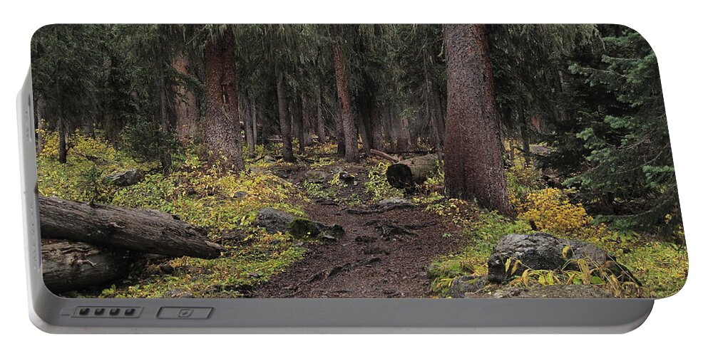 Landscapes Portable Battery Charger featuring the photograph The High Forest by Eric Glaser