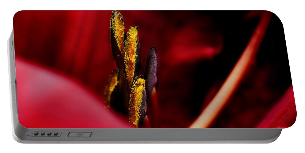 Scarlet Colored Lily Portable Battery Charger featuring the photograph The Insiders by Michael Eingle