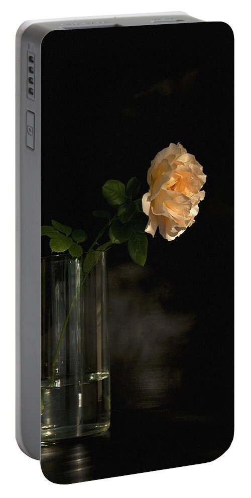 English Roses Portable Battery Charger featuring the photograph The Last Rose Of Summer by Theresa Tahara