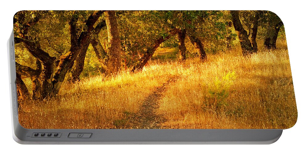 Landscapes Portable Battery Charger featuring the photograph Late Afternoon Walk by Roselynne Broussard